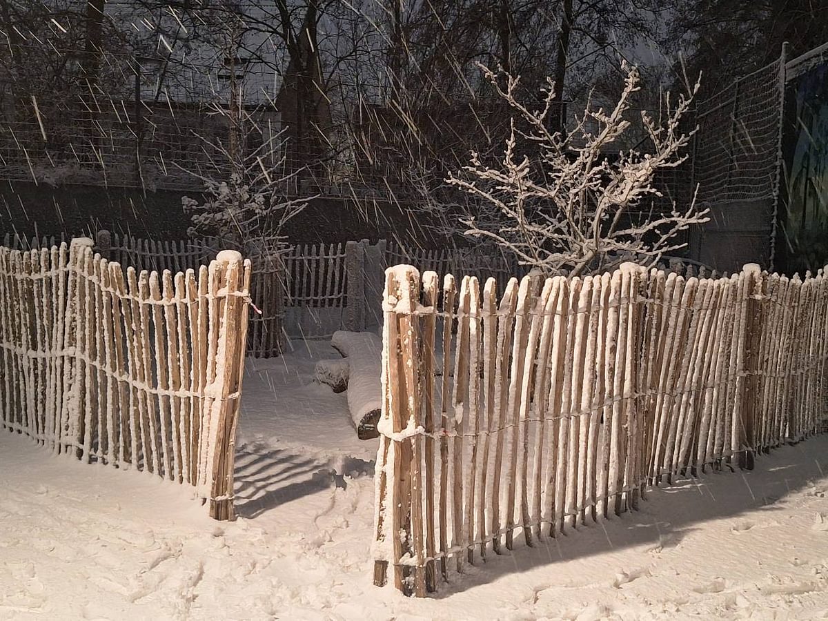 612550242 1462661615860290 1011306350794065336 n